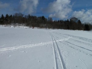 ski4