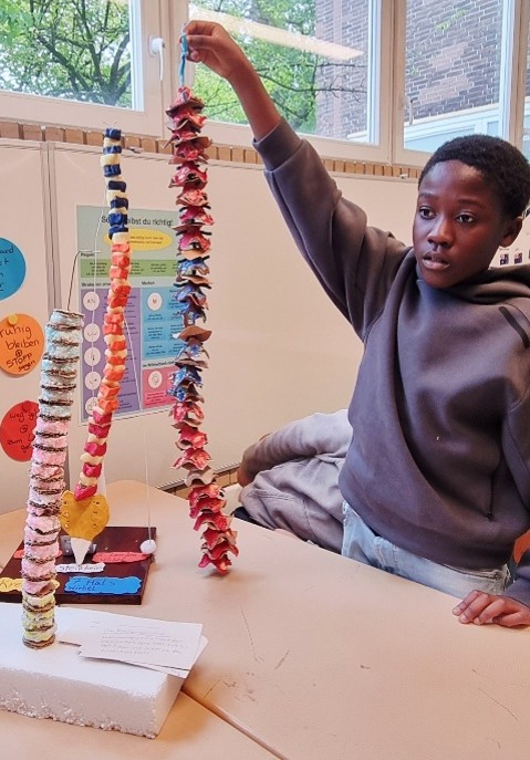 Ein Schüler hält ein hohes, buntes Modell der Wirbelsäule in die Höhe, daneben stehen weitere Modelle.